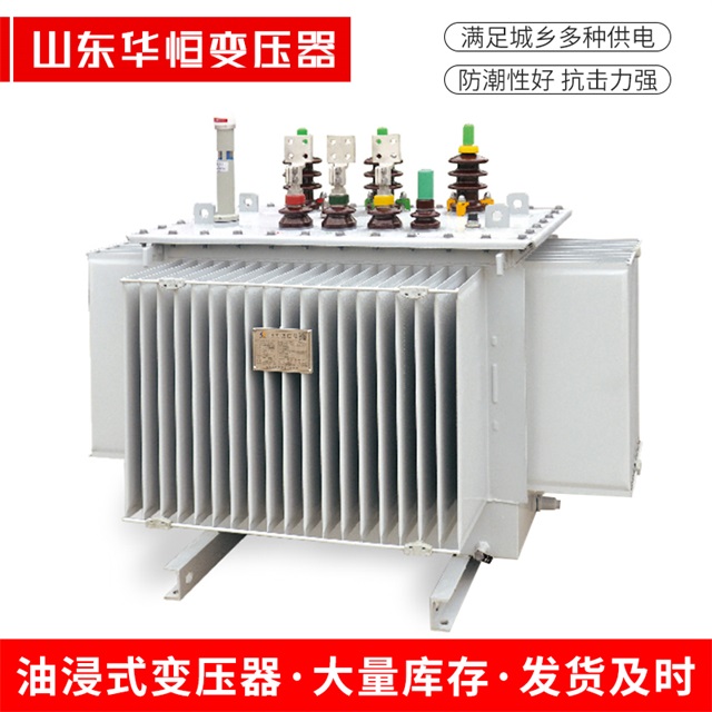 S13-10000/35东兰东兰东兰电力变压器